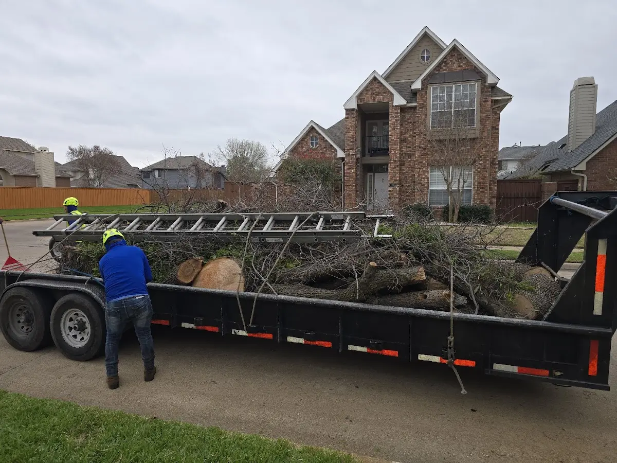 Expert Tree Fertilization with proper safety equipment in Ledbetter